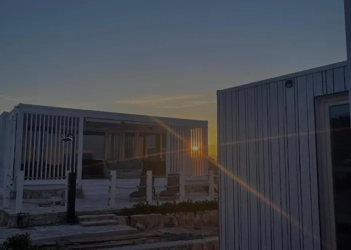 Buqez - 55 * 드라게